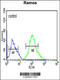 Fc Receptor Like 4 antibody, 64-144, ProSci, Immunofluorescence image 