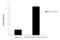 Lysine-specific demethylase 6A antibody, GTX121246, GeneTex, Chromatin Immunoprecipitation image 