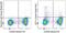 CD11C antibody, 64-0114-80, Invitrogen Antibodies, Flow Cytometry image 