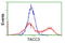 Transforming Acidic Coiled-Coil Containing Protein 3 antibody, TA501263, Origene, Flow Cytometry image 