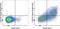 Inducible T Cell Costimulator antibody, 64-9948-41, Invitrogen Antibodies, Flow Cytometry image 