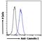 Caveolin 1 antibody, LS-B192, Lifespan Biosciences, Flow Cytometry image 