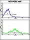 Paxillin antibody, orb304535, Biorbyt, Flow Cytometry image 