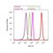 Histone Cluster 4 H4 antibody, 720105, Invitrogen Antibodies, Flow Cytometry image 