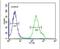 Potassium Channel Tetramerization Domain Containing 21 antibody, PA5-25323, Invitrogen Antibodies, Flow Cytometry image 