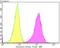 Syndecan Binding Protein antibody, NBP2-76873, Novus Biologicals, Flow Cytometry image 