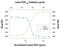 VEGF antibody, AF1603, R&D Systems, Western Blot image 