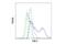 T Cell Immunoglobulin And Mucin Domain Containing 4 antibody, 75484S, Cell Signaling Technology, Flow Cytometry image 