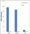 JunB Proto-Oncogene, AP-1 Transcription Factor Subunit antibody, 701702, Invitrogen Antibodies, Chromatin Immunoprecipitation image 