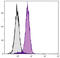 BCL2 Like 1 antibody, 99-619, ProSci, Immunohistochemistry paraffin image 