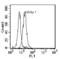 TNF Receptor Superfamily Member 17 antibody, ab17323, Abcam, Flow Cytometry image 