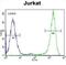 Eukaryotic Translation Initiation Factor 4E antibody, abx025209, Abbexa, Flow Cytometry image 