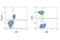 BLNK antibody, 36438T, Cell Signaling Technology, Flow Cytometry image 