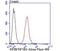 Nuclear Factor I B antibody, NBP2-76899, Novus Biologicals, Flow Cytometry image 