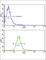 Neuregulin 1 antibody, abx032738, Abbexa, Western Blot image 