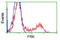 RAK antibody, TA500527, Origene, Flow Cytometry image 