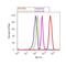 Somatostatin Receptor 2 antibody, PA3-109, Invitrogen Antibodies, Flow Cytometry image 