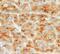 ADP Ribosylation Factor 6 antibody, ab77581, Abcam, Immunohistochemistry paraffin image 
