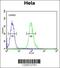 Claudin 7 antibody, 55-071, ProSci, Flow Cytometry image 