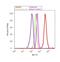 PDZ And LIM Domain 5 antibody, 38-8800, Invitrogen Antibodies, Flow Cytometry image 