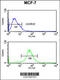 Mitochondrial Ribosomal Protein S25 antibody, 64-146, ProSci, Flow Cytometry image 