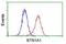 Butyrophilin Subfamily 1 Member A1 antibody, NBP2-02864, Novus Biologicals, Flow Cytometry image 