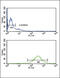 Glutamic-Oxaloacetic Transaminase 2 antibody, 63-724, ProSci, Flow Cytometry image 