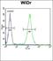 Gap Junction Protein Beta 1 antibody, orb213979, Biorbyt, Flow Cytometry image 