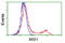 RNA-binding protein Musashi homolog 1 antibody, TA502420, Origene, Flow Cytometry image 