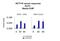 Kruppel Like Factor 2 antibody, PA5-40591, Invitrogen Antibodies, Chromatin Immunoprecipitation image 