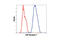 Fibroblast Growth Factor Receptor 1 antibody, 9740S, Cell Signaling Technology, Flow Cytometry image 