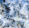 AKT Serine/Threonine Kinase 2 antibody, MAB23152, R&D Systems, Immunohistochemistry frozen image 
