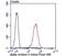 Actinin Alpha 4 antibody, NBP2-75404, Novus Biologicals, Flow Cytometry image 