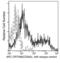 Cytotoxic and regulatory T-cell molecule antibody, 11975-MM08-A, Sino Biological, Flow Cytometry image 