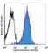 TNF Receptor Superfamily Member 8 antibody, 333910, BioLegend, Flow Cytometry image 