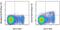 Fms Related Tyrosine Kinase 3 antibody, 46-1351-82, Invitrogen Antibodies, Flow Cytometry image 