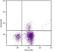 Integrin Subunit Alpha E antibody, NBP1-28123, Novus Biologicals, Flow Cytometry image 