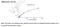 Colony Stimulating Factor 2 antibody, MBS2602528, MyBioSource, Enzyme Linked Immunosorbent Assay image 