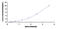 Nephronectin antibody, MBS2024411, MyBioSource, Enzyme Linked Immunosorbent Assay image 