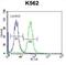 Calcium Voltage-Gated Channel Auxiliary Subunit Gamma 4 antibody, abx027069, Abbexa, Flow Cytometry image 
