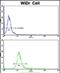 CTD Phosphatase Subunit 1 antibody, PA5-72462, Invitrogen Antibodies, Flow Cytometry image 