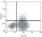 Interleukin 10 antibody, ARC9102, Invitrogen Antibodies, Flow Cytometry image 