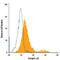 Integrin Subunit Alpha 8 antibody, FAB6194P, R&D Systems, Flow Cytometry image 