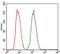 Protein Kinase CAMP-Activated Catalytic Subunit Gamma antibody, GTX60597, GeneTex, Flow Cytometry image 