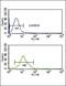 SET And MYND Domain Containing 3 antibody, PA5-14230, Invitrogen Antibodies, Flow Cytometry image 