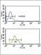 SET And MYND Domain Containing 3 antibody, PA5-14230, Invitrogen Antibodies, Flow Cytometry image 