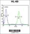 ELMO Domain Containing 2 antibody, 56-159, ProSci, Flow Cytometry image 