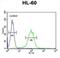 Carbohydrate Sulfotransferase 2 antibody, abx025861, Abbexa, Flow Cytometry image 