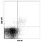 Killer Cell Lectin Like Receptor K1 antibody, 115605, BioLegend, Flow Cytometry image 