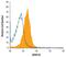 Adrenoceptor Alpha 1B antibody, MA5-24191, Invitrogen Antibodies, Flow Cytometry image 